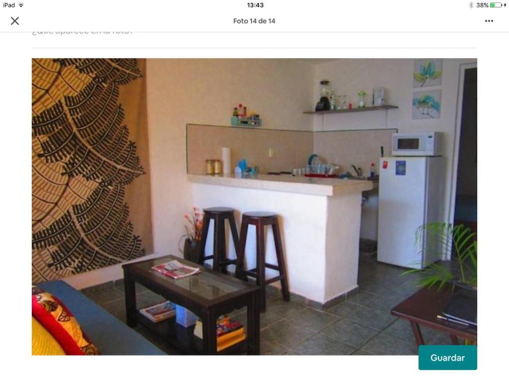 דירות פלאייה דל כרמן Casa De Hojas מראה חיצוני תמונה
