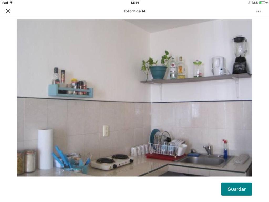 דירות פלאייה דל כרמן Casa De Hojas מראה חיצוני תמונה
