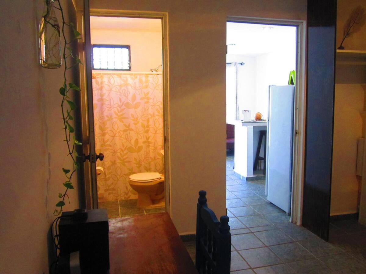 דירות פלאייה דל כרמן Casa De Hojas מראה חיצוני תמונה