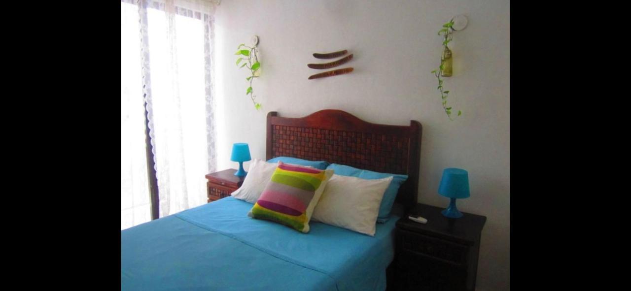 דירות פלאייה דל כרמן Casa De Hojas מראה חיצוני תמונה