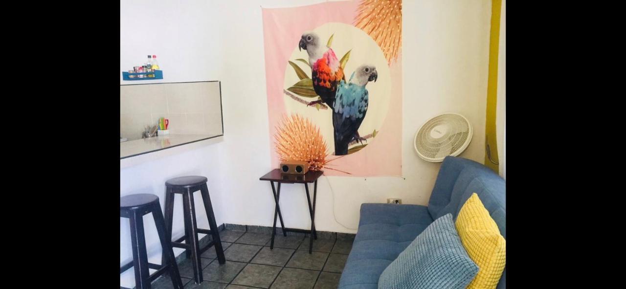 דירות פלאייה דל כרמן Casa De Hojas מראה חיצוני תמונה