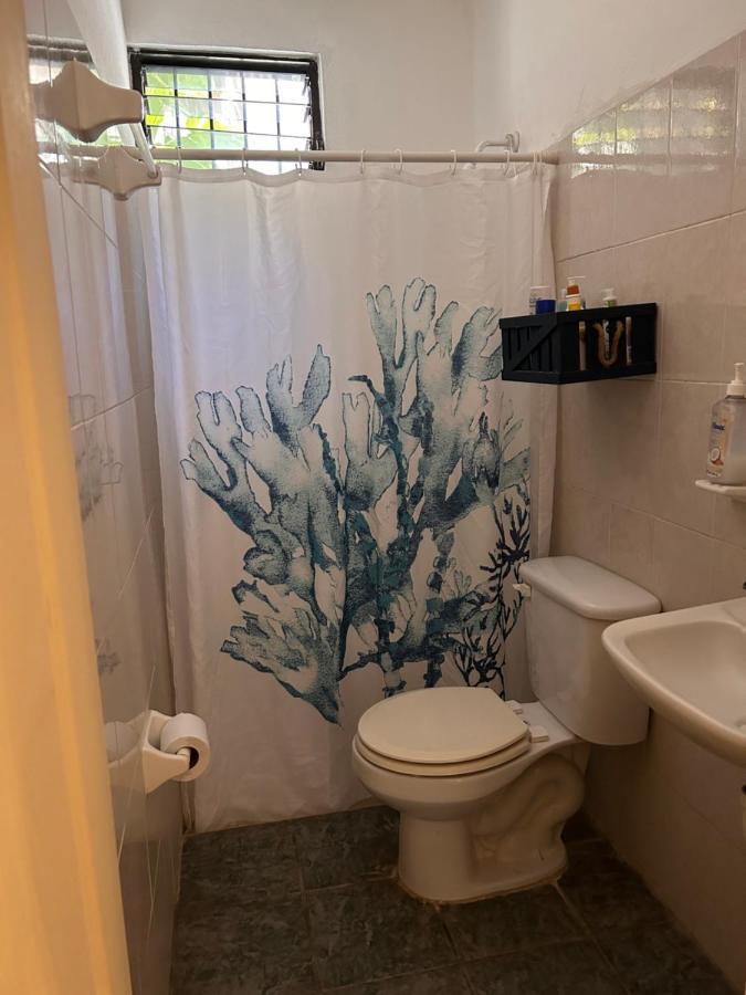 דירות פלאייה דל כרמן Casa De Hojas מראה חיצוני תמונה